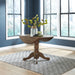 Carolina Crossing 3 Piece Drop Leaf Set - Furniture 4 Less (Jacksonville, NC)