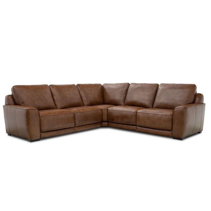 Blake 5 Piece Sectional - Furniture 4 Less (Jacksonville, NC)