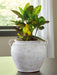 Meadie Vase - Furniture 4 Less (Jacksonville, NC)
