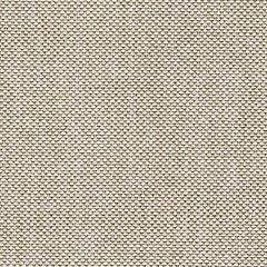 Coastline Bay Outdoor Loveseat with Cushion - Furniture 4 Less (Jacksonville, NC)