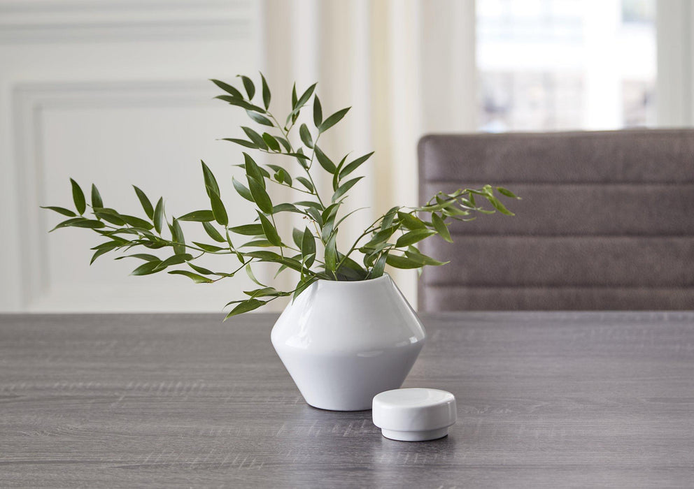 Domina Jar (Set of 2) - Furniture 4 Less (Jacksonville, NC)