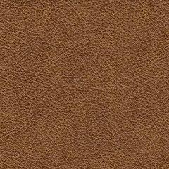 Carianna Sofa - Furniture 4 Less (Jacksonville, NC)