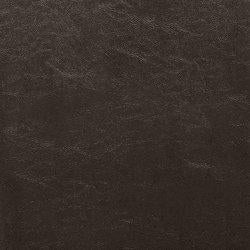 Kimonte Dining Chair Set - Furniture 4 Less (Jacksonville, NC)