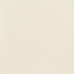 Kimonte Dining Chair Set - Furniture 4 Less (Jacksonville, NC)