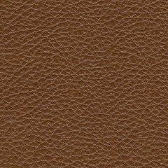 Healy Pier Power Reclining Sofa - Furniture 4 Less (Jacksonville, NC)