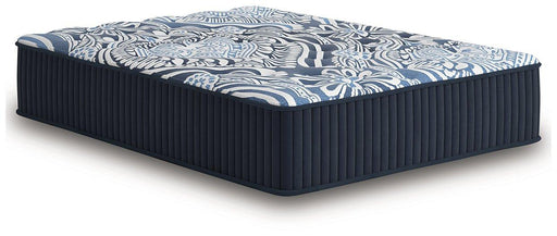 Firm Luxe 2.0 Mattress - Furniture 4 Less (Jacksonville, NC)