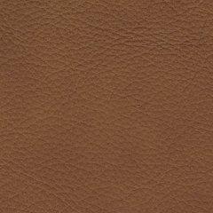 Magic Man 5-Piece Power Reclining Sectional - Furniture 4 Less (Jacksonville, NC)