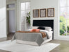 Danziar Bed - Furniture 4 Less (Jacksonville, NC)