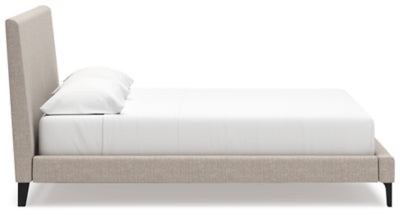 Cielden Upholstered Bed with Roll Slats - Furniture 4 Less (Jacksonville, NC)