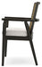 Galliden Dining Arm Chair - Furniture 4 Less (Jacksonville, NC)