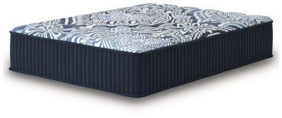 Firm Luxe 2.0 Mattress - Furniture 4 Less (Jacksonville, NC)