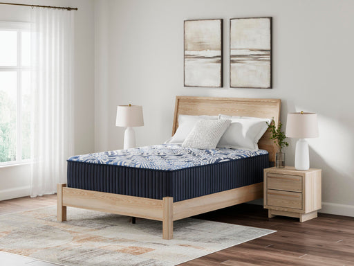Firm Luxe 2.0 Mattress - Furniture 4 Less (Jacksonville, NC)