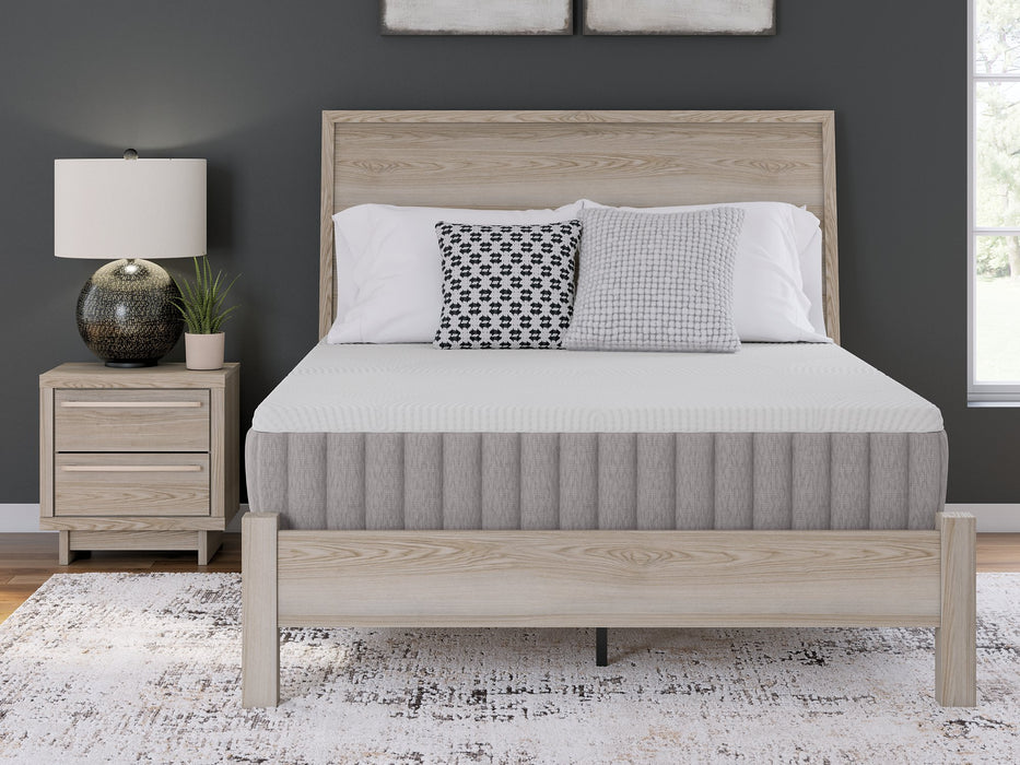 Terra Sleep Medium Mattress - Furniture 4 Less (Jacksonville, NC)
