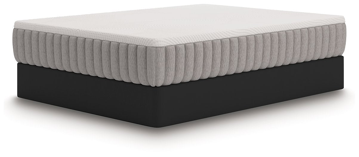Terra Sleep Medium Mattress - Furniture 4 Less (Jacksonville, NC)