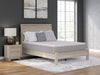 Terra Sleep Medium Mattress - Furniture 4 Less (Jacksonville, NC)