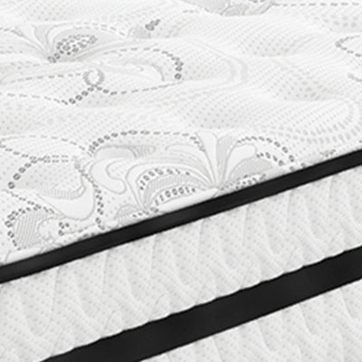 Chime 10 Inch Hybrid Mattress in a Box - Furniture 4 Less (Jacksonville, NC)