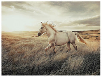 Errolville Wall Art - Furniture 4 Less (Jacksonville, NC)