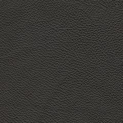 5Z-Relaxation Power Reclining Sofa - Furniture 4 Less (Jacksonville, NC)